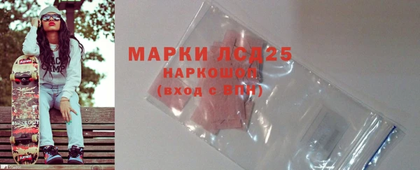 индика Беслан