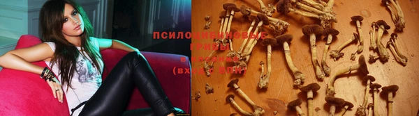 прущие крисы Белая Калитва