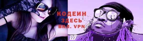 индика Беслан