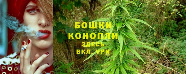 стафф Болхов