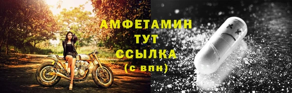 индика Беслан