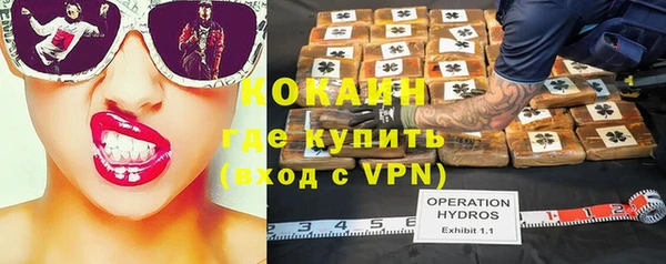 индика Беслан