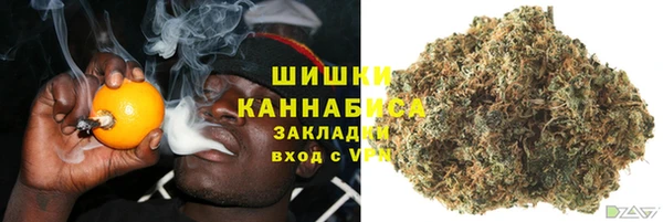 амф Белая Холуница