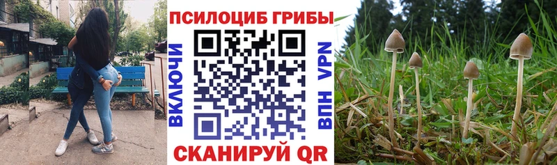 Псилоцибиновые грибы мухоморы  наркошоп  OMG ССЫЛКА  Дмитровск 